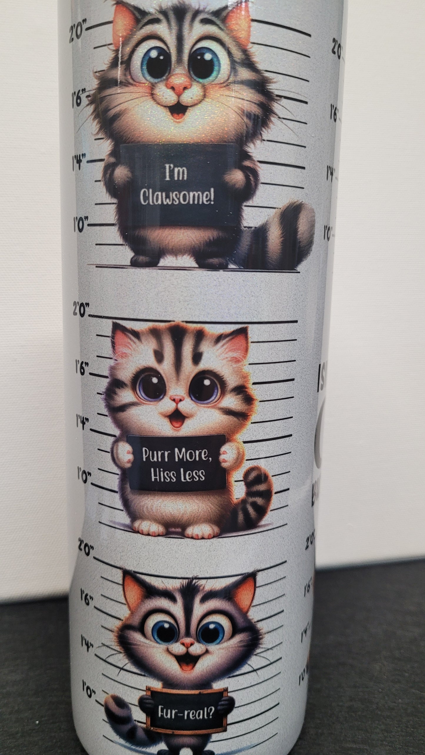 Life isn't all about cats.... but it should be. Ask any cat....it will tell you!. This comical and cute cat theme shows mug shots of various cats holding funny signs and really pops on our holographic 20 oz tumbler. Enjoy your favorite hot or cold beverage on the go and show off your style as you keep your drinks at the perfect temperature.